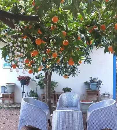 Bed and breakfast Relax Point Çıralı